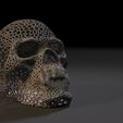 7.jpg Vampire skull