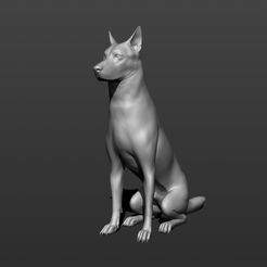 002.jpg Download free STL file German shepherd dog • 3D printer model, amforma