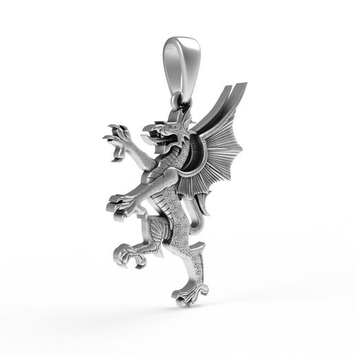 10.jpg 00039 Dragon Small Charm Pendant
