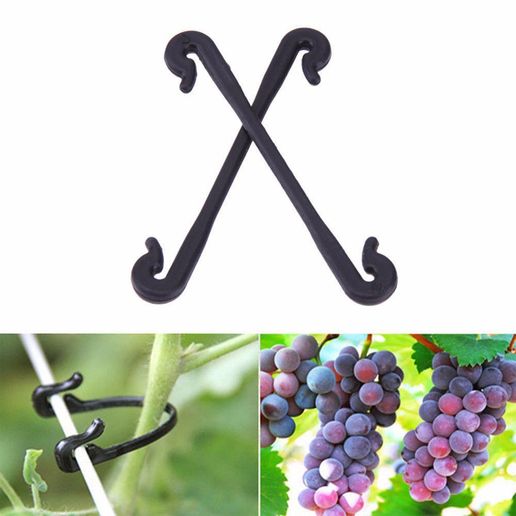 a136ddedccda9c977bed8d3260cafb0d_display_large.jpg Tomato Clips Trellis, Vegetable Binder (Garden)