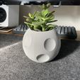 Organizador de escritorio Moon - Portalápices o casa para plantas y suculentas.