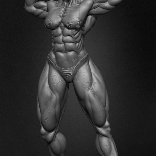♀️ Muscular Female Anatomy Volume 01・ 3D File for 3D