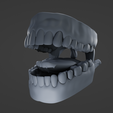 M5.png Mouth