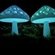 7b2e3332-f198-4b09-8fbb-6d41694fe327.jpg Dual Colour Modular Mushroom Caps (Glow-in-the-Dark)