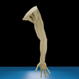 0005.png Anatomia do músculo do braço humano Modelo 3D | Estrutura realista do antebraço e da mão | Modelo de estudo anatómico
