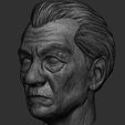 Screenshot_4.jpg Ian McKellen and Magneto head - Printable 3d impression