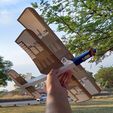 Sunlight-shining-through.jpg Biplane (hand thrown)