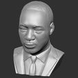 14.jpg Martin Luther King bust 3D printing ready stl obj