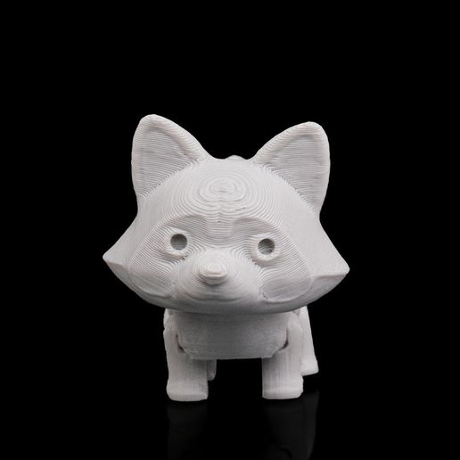 Forest-Raccon7.jpg Forest Raccoon