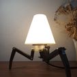 WhatsApp-Image-2024-09-01-at-22.44.58.jpeg Chandelier #2