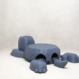 020.jpg Turtle cup holder  (No Supports needed)