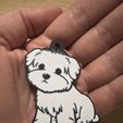 IMG_8691.jpeg Cute Maltese dog keychain