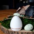 1000018299.jpg Smart habit trainer egg - Neopixel LED egg - Focus Timer