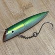 IMG_1086.jpg SeaMo Plug fishing lure