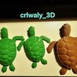 20240303_224657.jpg Articulated Sea Turtle - Flexi print in place