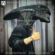 z5363073392706_dadf5c87faac9d08e6fdd4021a815897.jpg Alien Xenomorph Head Decor Wearable Cosplay