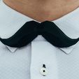 Moustache.jpg Moustache bow tie