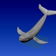 002.jpg BLUE WHALE