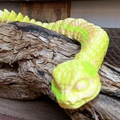 1.jpeg Snake chibi flex