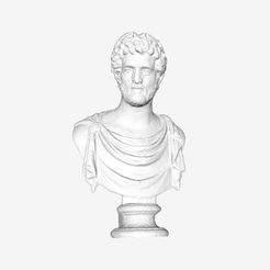 Capture d’écran 2018-09-21 à 17.27.22.png Бесплатный STL файл Bust of Antoninus Pius at The Louvre, Paris・Дизайн для загрузки и 3D-печати