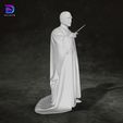 6.jpg Lord Voldemort Harry Potter Action Figures Custom 3D Print Model 3D print model