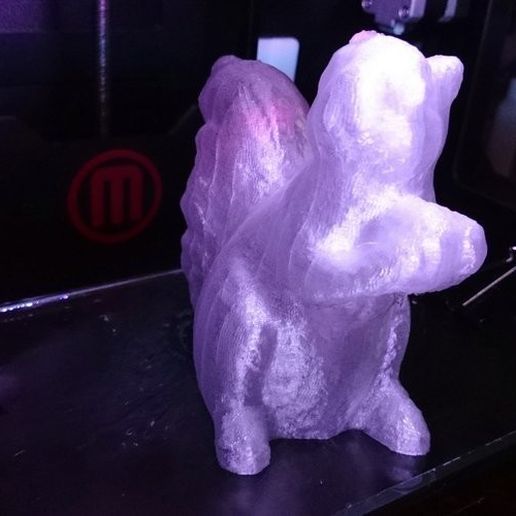Archivo STL gratis Squirrel Scan・Diseño de impresora 3D para descargar ...