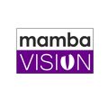 MAMBA-VISION