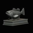 Peacock-Bass-statue-box-1-2-16.png fish Peacock bass (Cichla ocellaris) fish in motion base box for 3D printing