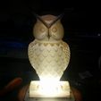 IMG_20180403_155359.jpg Owl LED Lamp