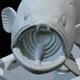 White-grouper-open-mouth-1-64.png fish white grouper / Epinephelus aeneus trophy statue detailed texture for 3d printing