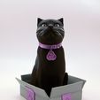 cults3d_cats3.jpg SCHRODINKY: GATO INGLÉS DE PELO CORTO (PELO CORTO BRITÁNICO) EN UNA CAJA - IMPRIMIBLE EN 3D, MODELO 3D MULTIPARTES - KIT DE EXTRUSIÓN SIMPLE.