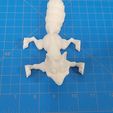 Renard mignon de Flexi Print-in-Place