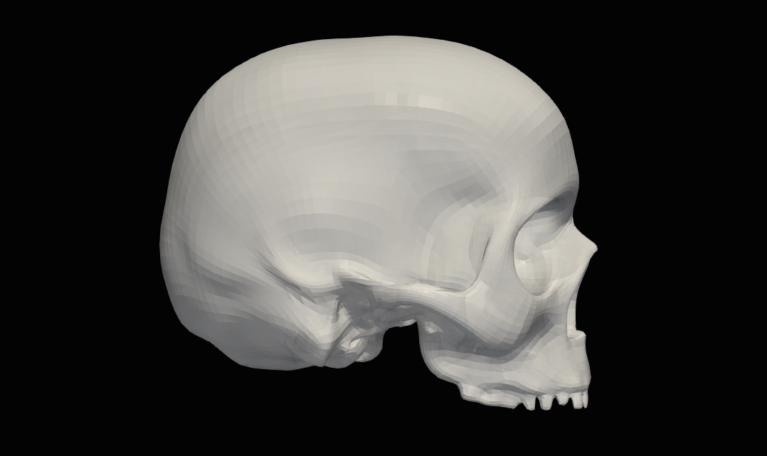 Fichier STL Modèle 3d de crâne humain・Plan à imprimer en 3D à