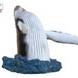 Humpback-Whale-Head-off-the-Water-color-4.jpg Humpback Whale Head off the Water 3D printable model