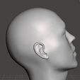 Captura-de-pantalla-2025-03-09-202439.png human head