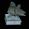 zander-statue-4-mouth-open-6.png fish zander / pikeperch / Sander lucioperca open mouth statue detailed texture for 3d printing