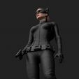 cat002.jpg Catwoman Selina Kyle