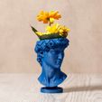 HeadPotBlue2b.jpg David head planter