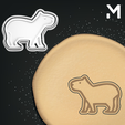 Capybara.png Cookie Cutters - Wildlife