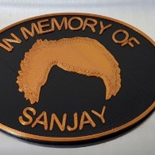 In Memory of Sanjay 3D model