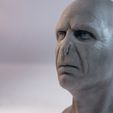 DSC04372-Enhanced-NR-copy.jpg Voldemort fan art