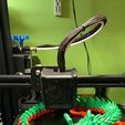 Articulated Dragon