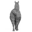 3D-Print-Ready-Llama-08.jpg Llama Animal 3D Print Model