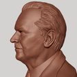 07.jpg Jack Nicholson 3D print model