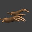 Gesture-Hands-with-Long-Manicure-compatible-with-Monster-High-2.jpg Gesture Hands with Long Nails, Compatible with Monster High