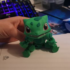 Pokemon Bulbasaur Multicolor Flexi Print-In-Place + figure & keychain
