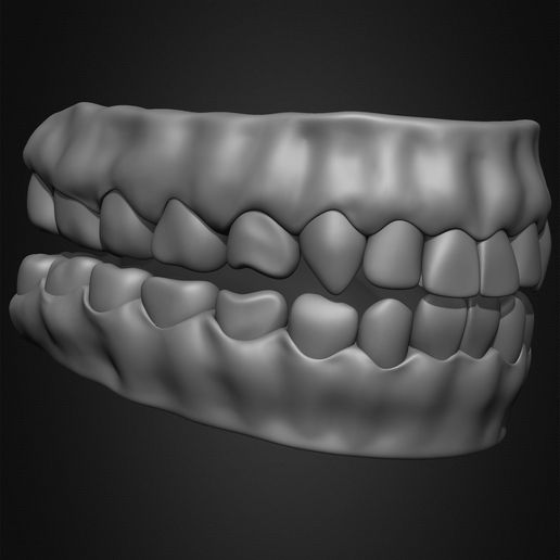 🧪 Highly Detailed Human Teeth・ 3D File for 3D printing・Cults