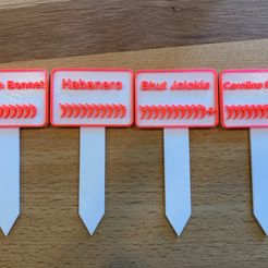 IMG_4943.jpeg Free STL file Chilli signs - Schilder・3D print model to download