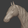 HorseFaceMatcap.png Fichier 3D Cheval andalou・Modèle à imprimer en 3D à télécharger