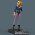 canary.160.jpg Black Canary Justice League Unlimited